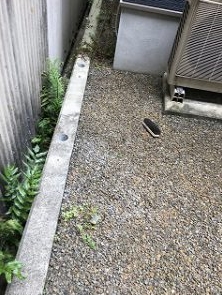 NiwaNaviImage NiwaNaviImage